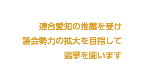 連合愛知の推薦を受け 議会勢力の拡大を目指して 選挙を闘います